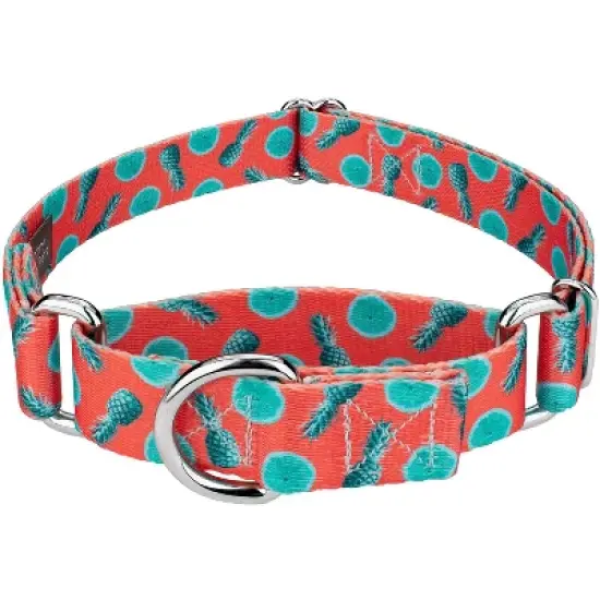 Country Brook Petz Tropical Tango Martingale Dog Collar image {4}