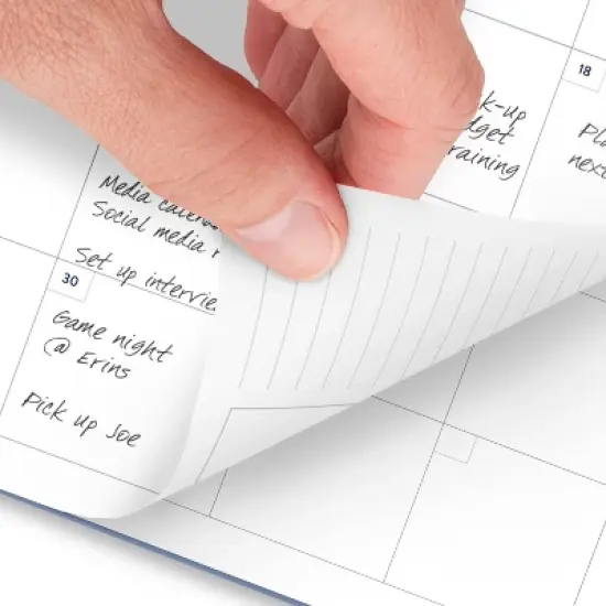 Emily Ley for At-A-Glance 2025 Weekly/Monthly Planner 9"x7.813" French Blue: Simplified Planner, Adult, Non-Toxic, Tabs image {6}