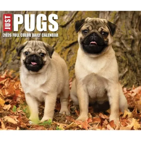 Willow Creek Press 2026 Just Pugs Box Calendar image {4}