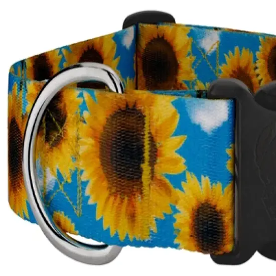Country Brook Petz 1 1/2 Inch Deluxe Sunflowers Dog Collar image {4}