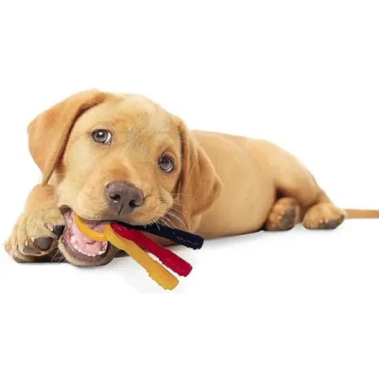 Nylabone Puppy Chew Teething Keys Chew Toy - Small image {1}