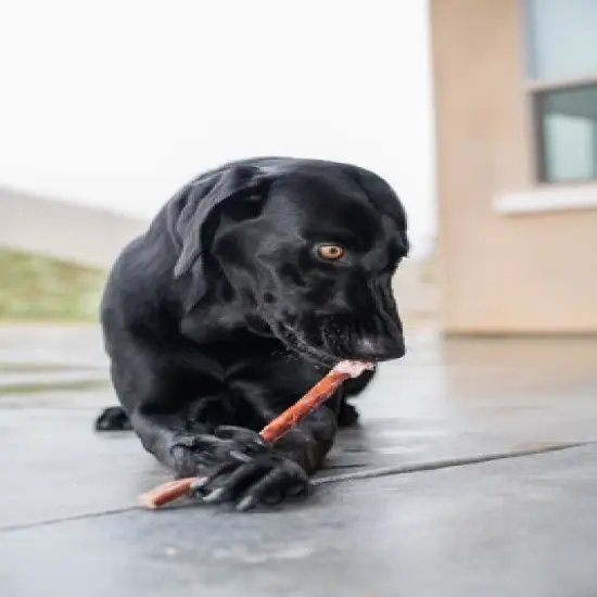 GigaBite 6-Inch All Natural Odor Free Half-Cut Bully Sticks (10 Count) image {3}