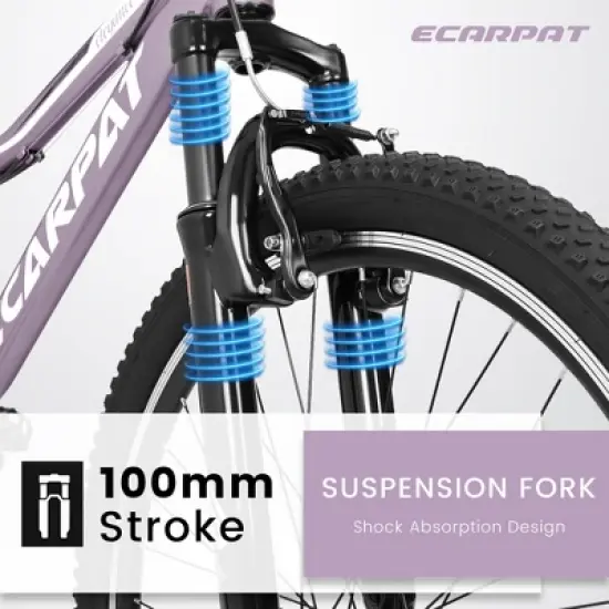 VASIP "24" Mountain Bike for Teens/Students: 21-Speed, Front Suspension, V-Brakes & Twist Shifter - Perfect Commuter & School Bike image {1}