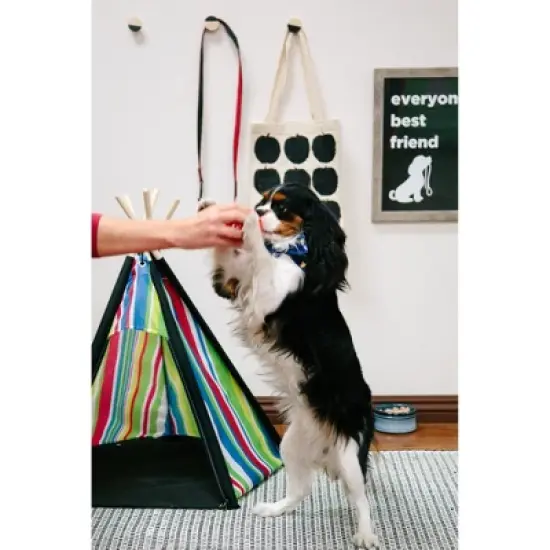 Cozy Pet Indoor Dog House image {3}