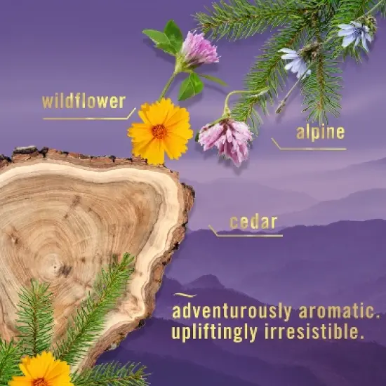 Febreze Air Effects Air Freshener - Mountain - 8.8oz image {3}