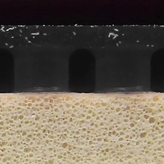 Butterfly Bryce High Speed image {2}