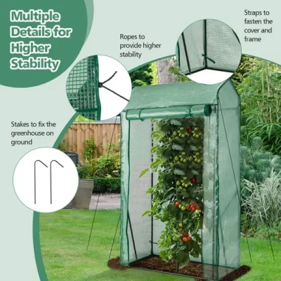 Costway 39'' x 20'' x 67'' Walk-in Garden Greenhouse Hot House Tomato Plant Warm House image {7}