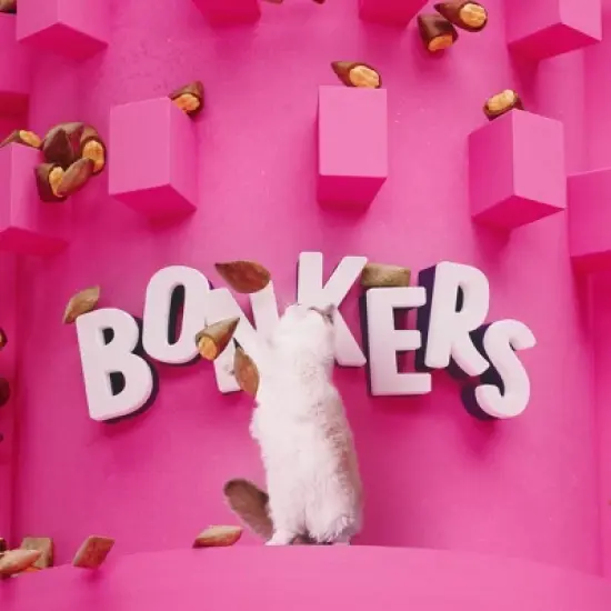 Bonkers Adult Crunchy and Soft Cat Treats Paw Lickin Chicken Flavor - 3oz image {8}