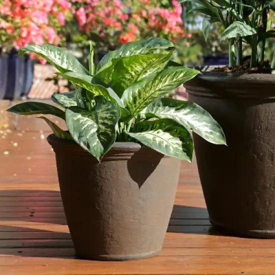 Sunnydaze Indoor/Outdoor Patio, Garden, or Porch Weather-Resistant Double-Walled Anjelica Flower Pot Planter - 16" - Rust Finish image {1}