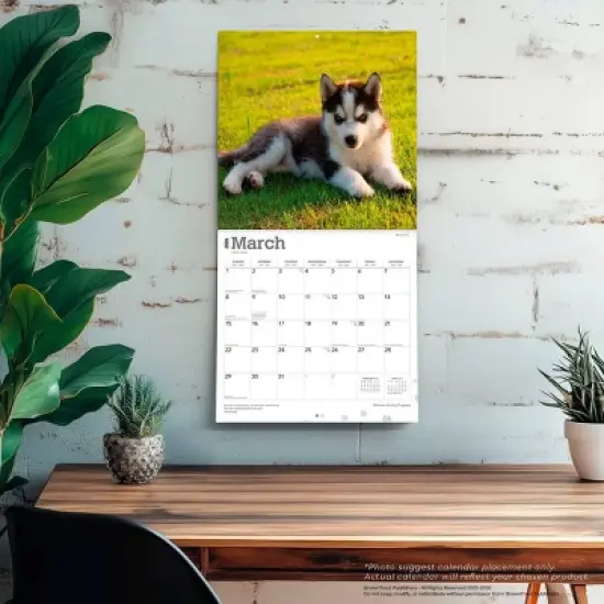 BrownTrout Siberian Husky Puppies 2026 12"x24" Hanging Square Wall Calendar Plastic-Free image {4}