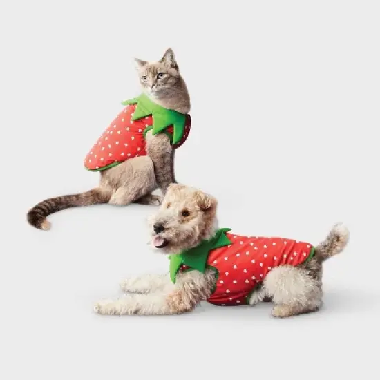 Reflective Strawberry Dog Vest - Boots & Barkley&trade; Cherry Red image {6}