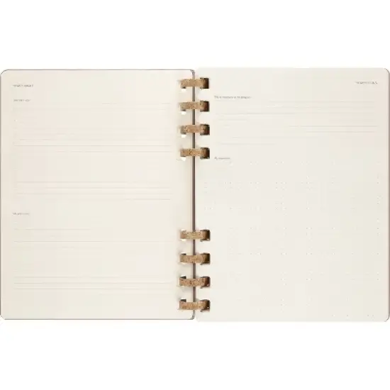 Moleskine 2023-24  Academic Weekly Planner 10"x8" XL Spiral Almond image {5}