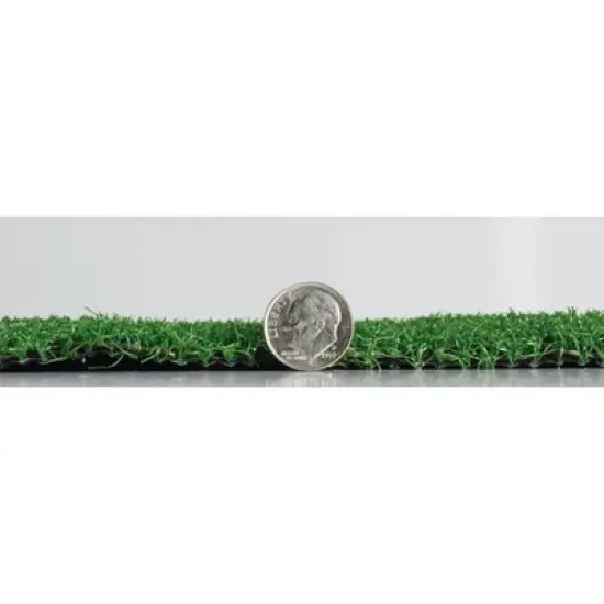 6' x 8' Polo Turf Outdoor Rug Green - Foss Floors image {2}