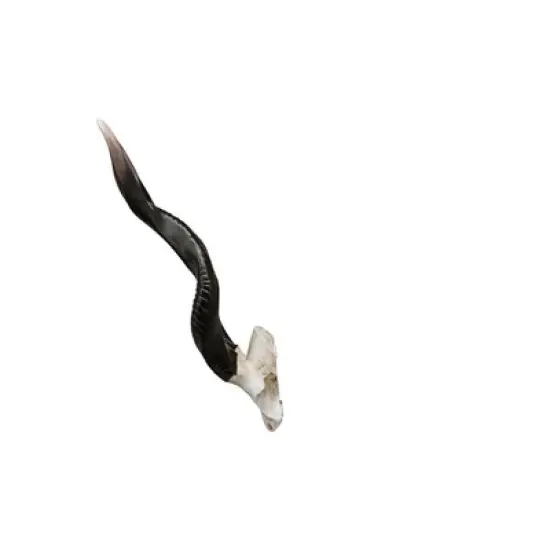 Design Toscano Kudu African Wall Trophy image {5}
