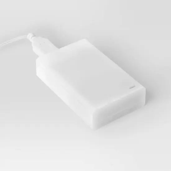 LED Woodrose Vine String Lights Warm White - Room Essentials&trade; image {3}