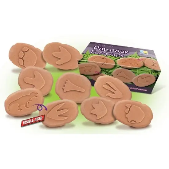 Yellow Door Let's Investigate Dinosaur Footprints image {1}