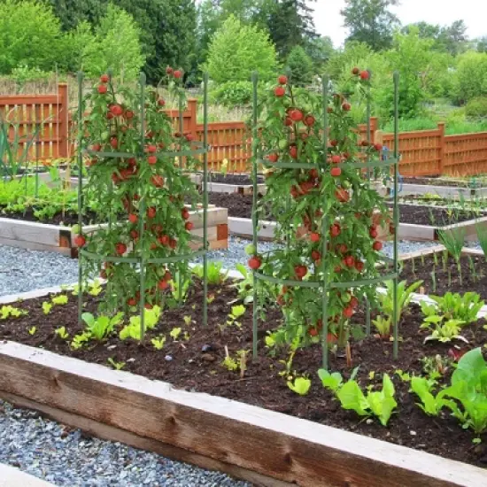 Tangkula 3-Pack Garden Tomato Trellis 40" Plant Support Cage w/ Adjustable Size for Plants image {3}