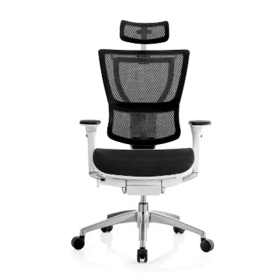 Eurotech iOO Ergonomic Mesh Chair Headrest White (IOO-HDRWHT)  image {1}
