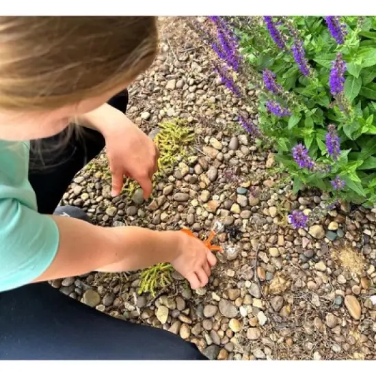 Kids' Bug-Watching Adventure Kit &ndash; Complete with Bug Net, Viewer, Catcher, Binoculars, Checklist & Tool Bag image {4}