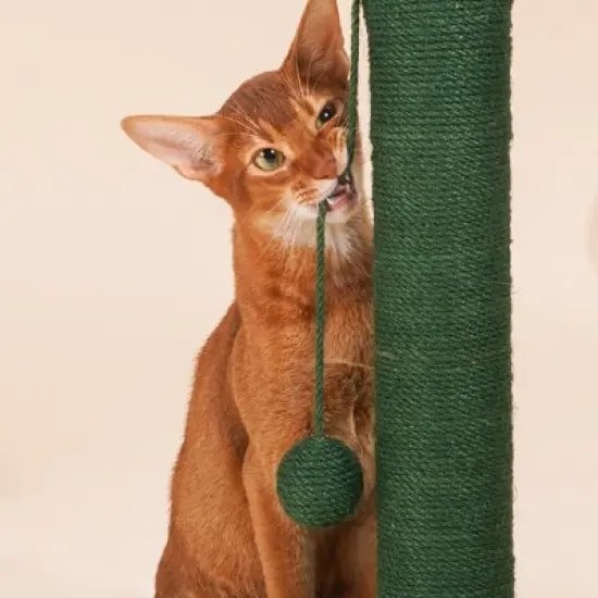 ZEZE Desert Cactus Woven Rope Cat Scratcher-Green image {7}