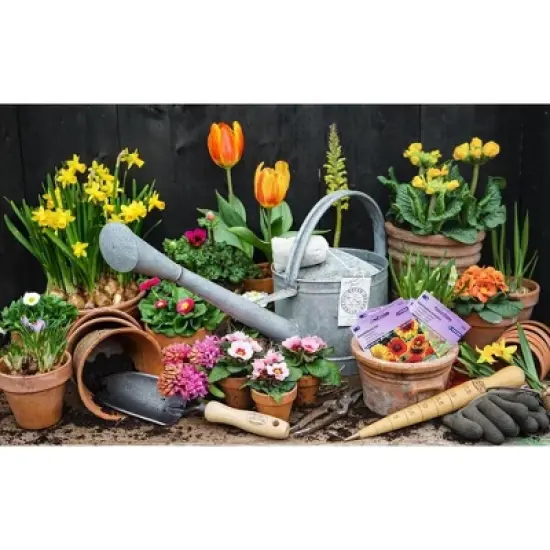 Handcrafted Ash Wood Dibber with Brass Tip &ndash; Engraved Depth Measurements, Perfect for Planting Seeds, Bulbs, and Potatoes image {3}