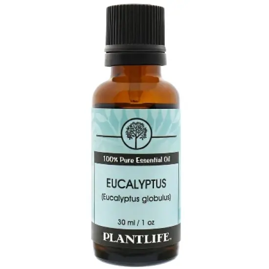 Plantlife Eucalyptus Aromatherapy Essential Oil - Straight from The Plant 100% Pure Therapeutic Grade - No Additives or Fillers image {3}
