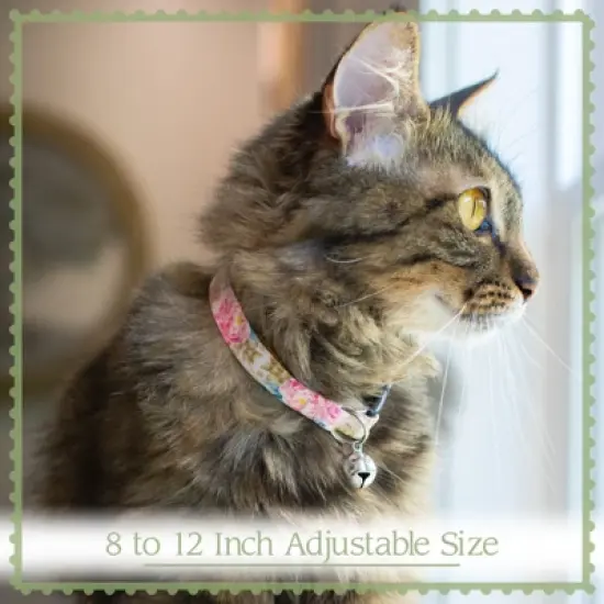 Country Brook Petz Cheetah Kisses Cat Collar image {1}