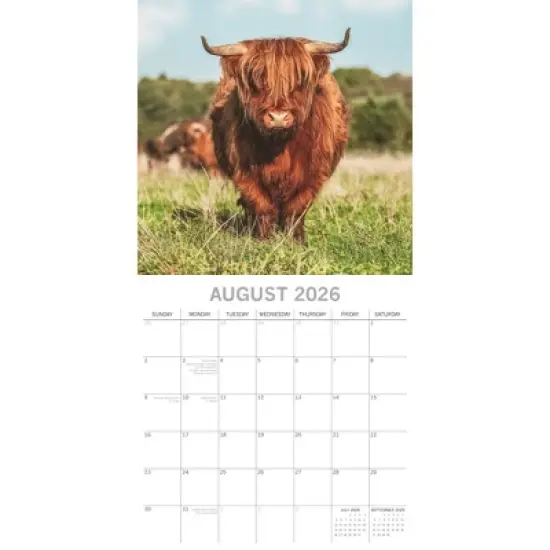 2026 Square Wall Calendar, Highland Cows, 16-Month Animals Theme with 180 Reminder Stickers (12x12 In) image {2}