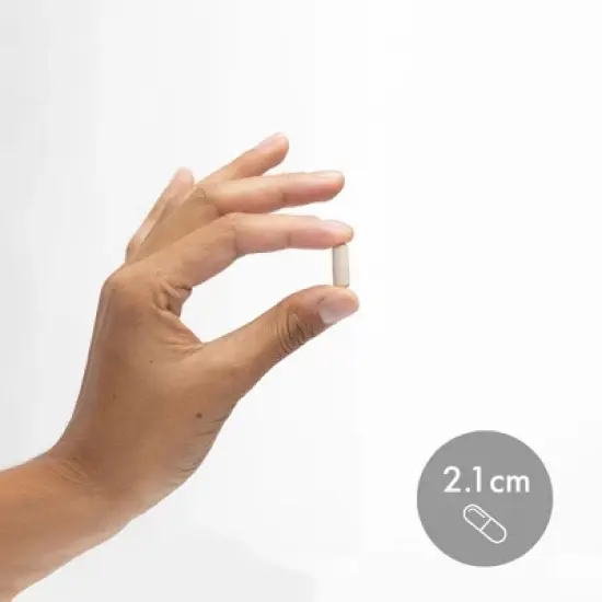 Dr. Mercola Biothin Probiotic 10 Billion CFU, 30 Servings (30 Capsules), Dietary Supplement, Supports Digestive Health, Non GMO image {5}