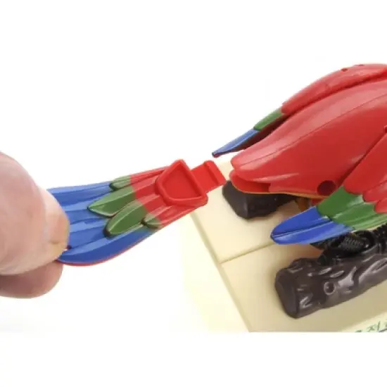 Ready! Set! Play! Link Parrot Bird Coin Saving Bank, Money Box For Girls & Boys image {5}