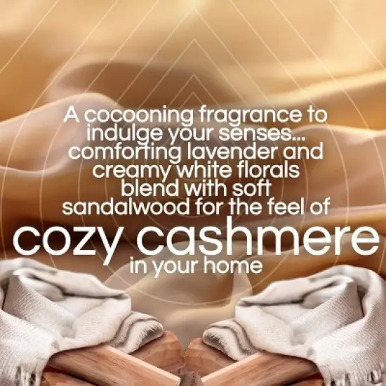 Air Wick Vibrant Scented Oil Air Freshener Refills - Warm Cashmere & Sandalwood - 1.34 fl oz/2pk image {2}