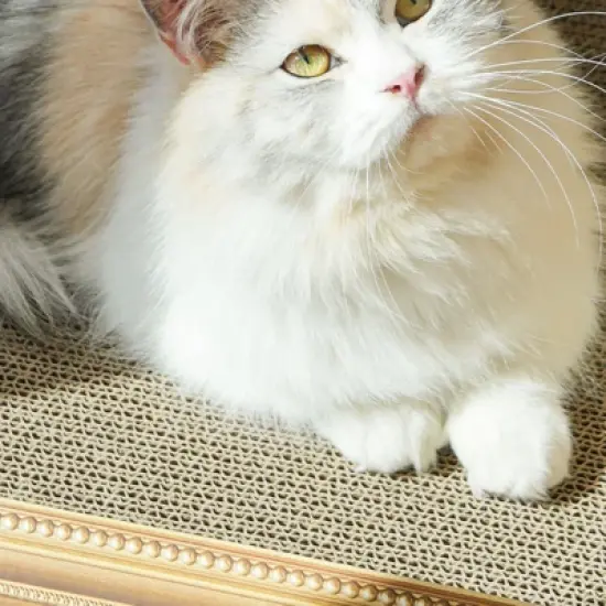 FairyLand&trade; - Oil Painting Cat Scratcher Bed &ndash; Cardboard Cat Scratching Lounge with Artistic Frame Design, Sturdy Corrugated Board, Cat Furniture image {6}