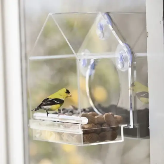 OnDisplay Window Mounted Clear Acrylic Bird House image {5}