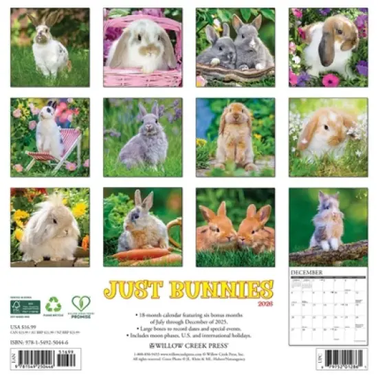 Willow Creek Press 2026 Bunnies Wall Calendar image {1}