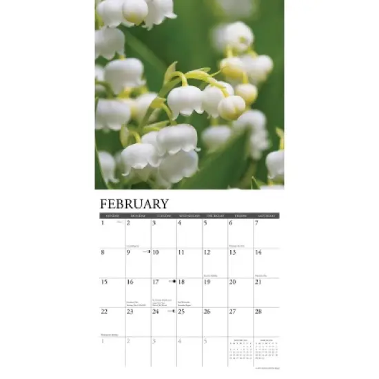 Willow Creek Press 2026 Flowers Wall Calendar image {2}