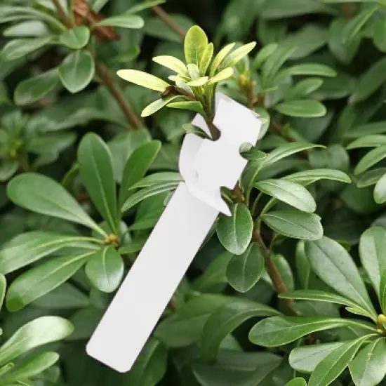 100 PCS White Gardening Plant Sapling Seed Hanging Tree Labels &ndash; Durable Garden Markers image {7}