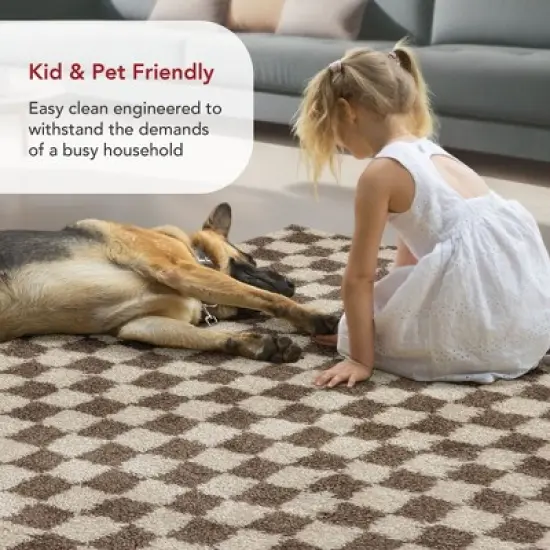 Nuloom Adelaide Mid-Century Checkered Shag Indoor Area Rug image {11}