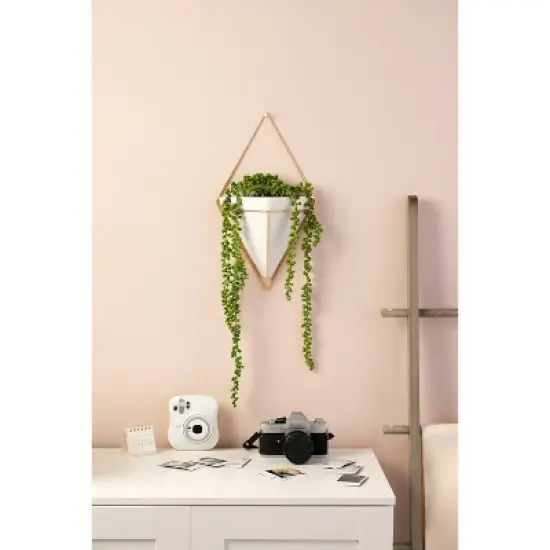 Trigg Wall Display Planter White/Brass - Umbra image {14}