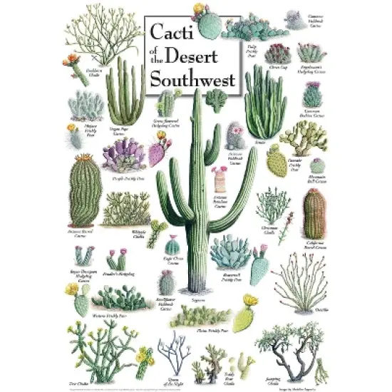 MasterPieces Inc Cacti of the Desert Southwest 1000 Piece Linen Jigsaw Puzzle image {2}
