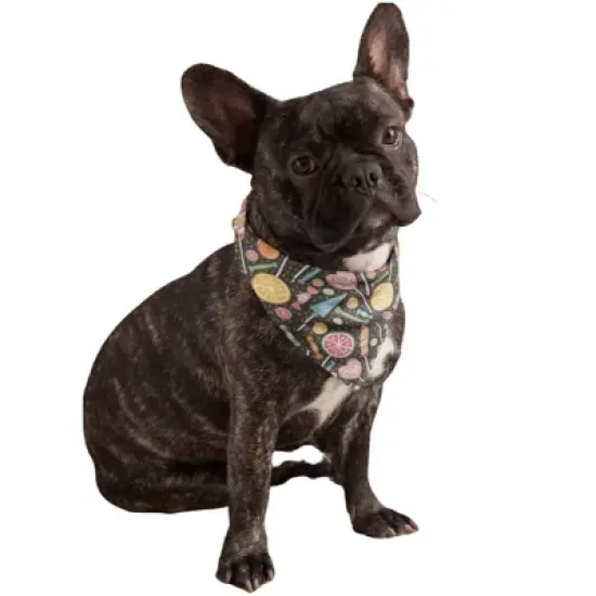 Mechaly Cotton Funny Dog Bandana with Designs Durable Birthday Pet Scarf image {8}