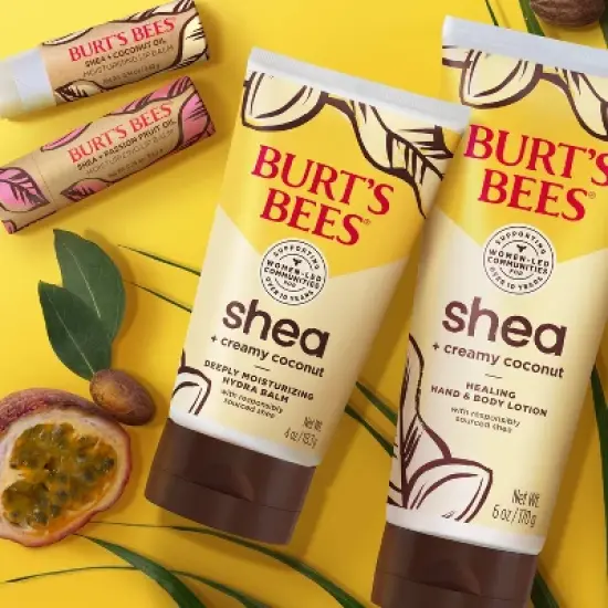 Burt's Bees Shea + Coconut Oil Paper Tube Lip Balm - 0.34oz image {5}