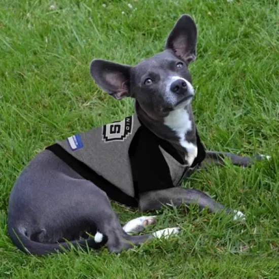 NBA San Antonio Spurs Hooded Pets T-Shirt image {2}