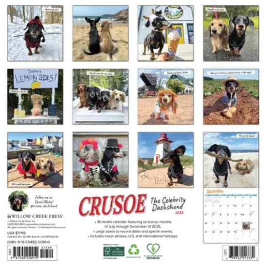 Willow Creek Press 2026 Crusoe the Celebrity Dachshund Wall Calendar image {1}