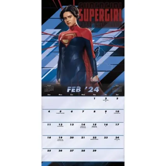 Trends International Inc. 2023-24 Wall Calendar 12"x12" DC Comics The Flash image {2}