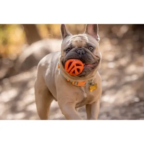 Chuckit! Air Fetch Dog Ball Toy image {5}