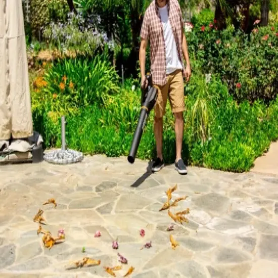 Worx WG547.1 Turbine Two Speed Cordless Leaf Blower image {8}