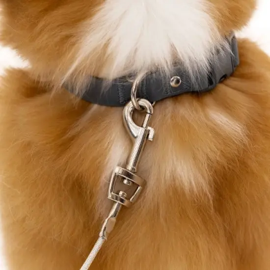 Carlson Tie Out Dog Leash - 30' image {1}