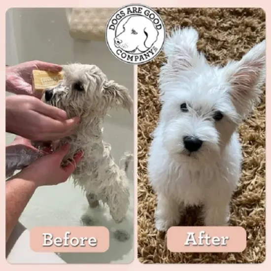 Dogs Are Good Company - Gentle Shampoo Bar (3.25 Oz) image {3}