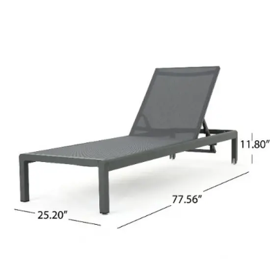 Modern Outdoor Chaise Lounges with Aluminum Frame, Breathable Seating Mesh Patio Recliner Chair, Adjustable Outside Chair -Christopher Knight Home image {1}