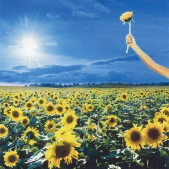 Stone Temple Pilots - Thank You image {2}